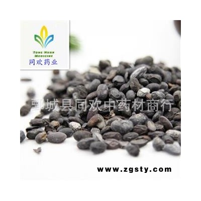 【纯干淡豆豉好统货】@【同欢药材】中药材批发供应  规格齐全 量大从优 产地 山东省