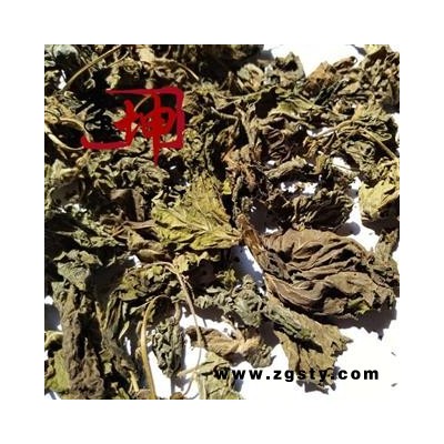 【99包邮】紫苏叶 统货 河北产【良心经营 品种齐全】