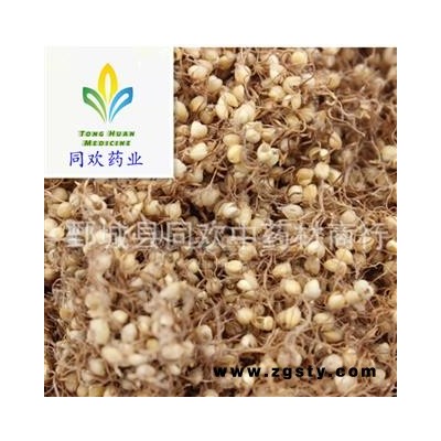 【新货谷芽】@【同欢药材】中药材批发供应  规格齐全 量大从优 产地 山东省