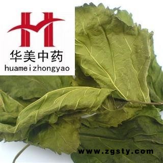桑叶 统 产地 山东省 华美中药 产地直销 重在品质