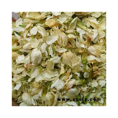茉莉花 茉莉花瓣 产地 广西壮族自治区