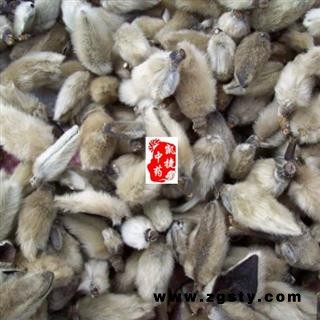 辛夷花 辛夷花选货 产地 甘肃省