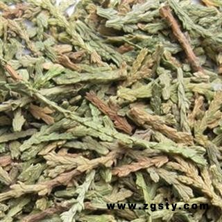 侧柏叶 侧柏叶统货 产地 山东 华美中药 产地直销 重在品质
