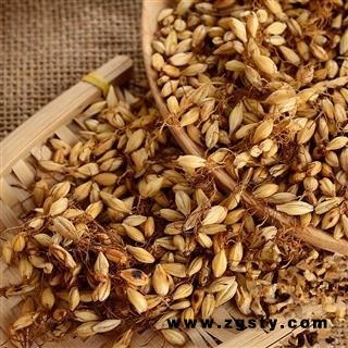 麦芽 炒麦芽 个个有芽 为冲销量 低价售 量大价格再优惠