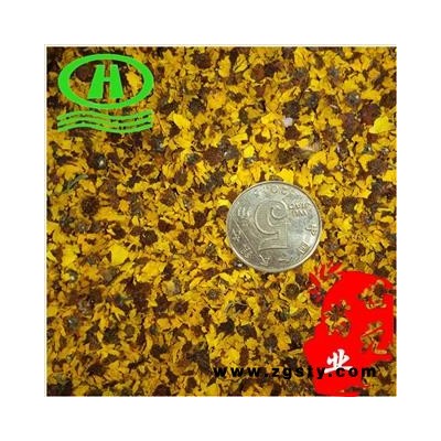 世元药业 雪菊 昆仑雪菊 茶饮 新货 烘干 双色金鸡菊 两色金鸡菊 古丽恰尔 血菊