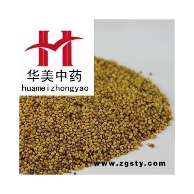 炒谷芽 炒谷芽 产地 山东 华美中药 产地直销 重在品质
