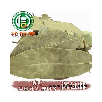 【满包邮】香叶统货散装广西产地直供月桂叶 香桂叶 桂叶沁信源中药批发