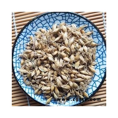 麦芽 精品选装 生麦芽 个个带芽 为冲销量 低价售 精品好药尽在七彩百草