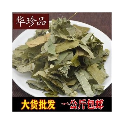 淫羊藿 01 四川淫羊藿  产地 吉林省