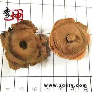 【99包邮】老柿蒂 四川产  含量高【良心经营 品种齐全】