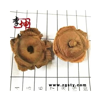 【99包邮】老柿蒂 四川产  含量高【良心经营 品种齐全】