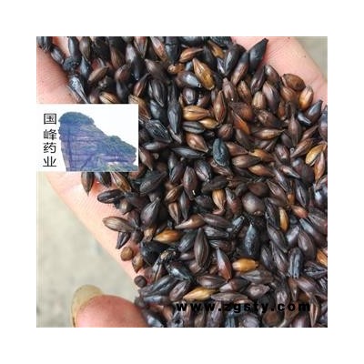 麦芽 焦麦芽 全干 国峰药业 产地 山东省