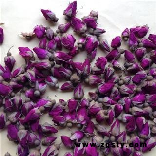 玫瑰花 甘肃玫瑰 苦水蓓蕾 苦水玫瑰  选 产地 甘肃省