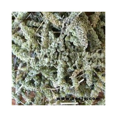 荆芥穗 统货 青色 有一定量子  产地 山东省