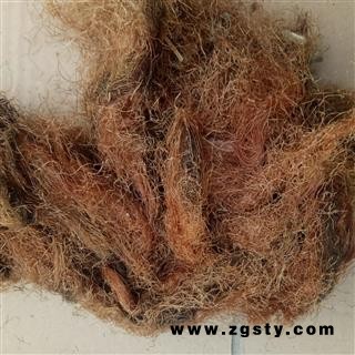 玉米须 玉米须统货
