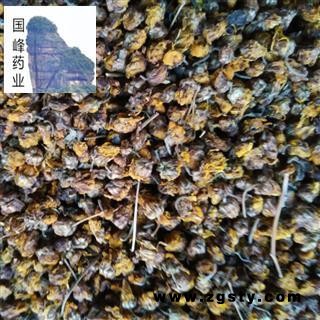 野菊花 颜色好 足干 无虫蛀 国峰药业 重在品质 产地 安徽省