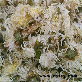 菊花亳菊花药菊1000克促销批发价 选 产地 安徽省亳州市谯城区 大货批发价