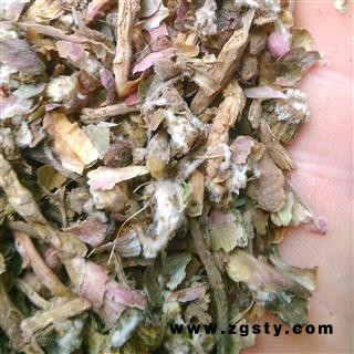 款冬花 款冬花药用 产地 甘肃省