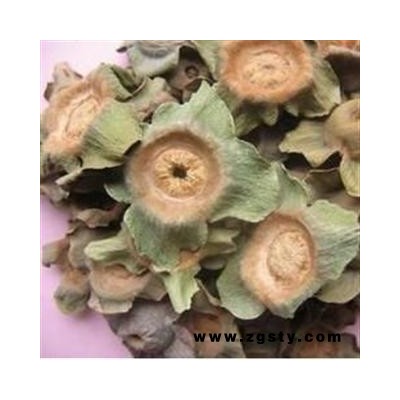 柿蒂 柿蒂选货 新货 颜色好 干货 产地 河南省