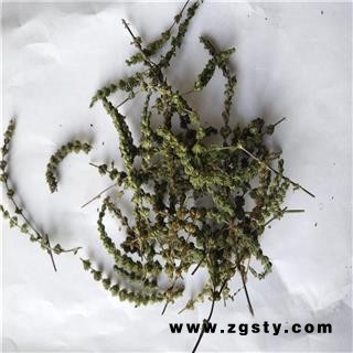 荆芥穗 荆芥穗统货带10%自然籽