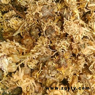 菊花 无硫亳菊花 产地 安徽省
