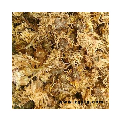 菊花 无硫亳菊花 产地 安徽省