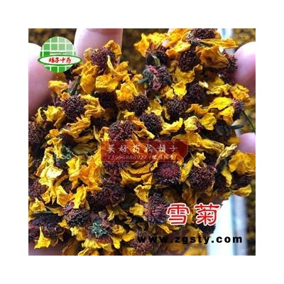 雪菊 雪菊选货 产地 新疆维吾尔自治区