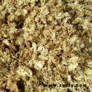 菊花 产地涨价 欲购从速 河北菊花统货 药用  地道药材统货 产地 河北省