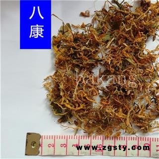 山银花 01开花统 产地 湖南省