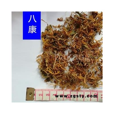 山银花 01开花统 产地 湖南省
