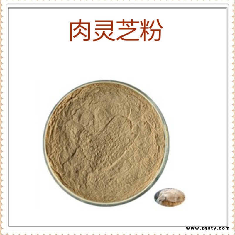 肉灵芝速溶粉 浸膏 喷雾干燥 多规格 水溶性 沃特莱斯生物