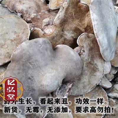 白灵芝中药材实物图片 药食同源白灵芝出售
