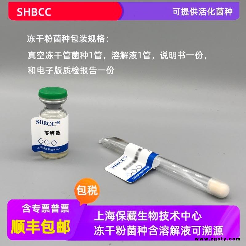 灵芝  冻干粉 可定制 可活化 药用 SHBCC D13330 上海保藏