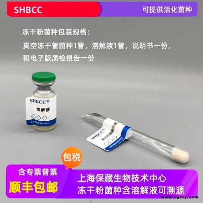 灵芝  冻干粉 可定制 可活化 药用 SHBCC D13330 上海保藏
