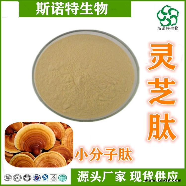 灵芝肽 灵芝低聚肽 灵芝小分子肽 资质齐全 斯诺特现货供应