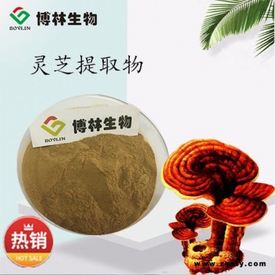 灵芝提取物10:1  灵芝三萜皂甙 灵芝多糖 灵芝破壁孢子粉 灵芝粉