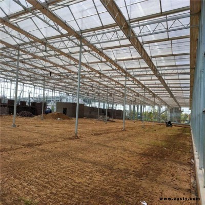 灵芝大棚建设 辽宁辉腾温室 农业双膜温室大棚