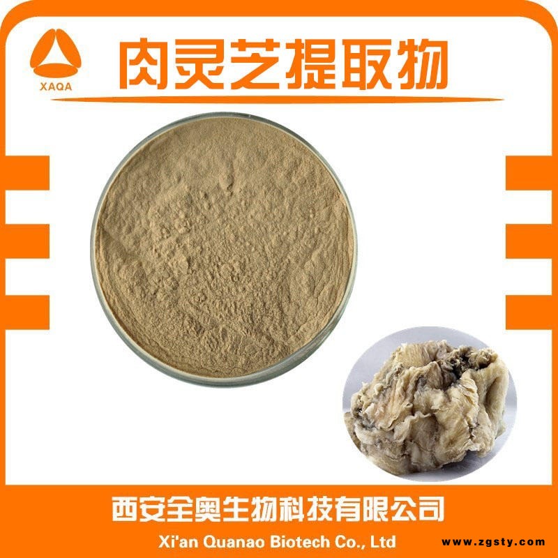 厂家直销 优质肉灵芝提取物 灵芝多糖 真菌类多糖肉原料包邮