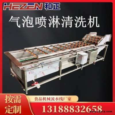 和正 芦荟清洗机 多功能气泡喷淋清洗机 龙须菜水浴式清洗机 可定制