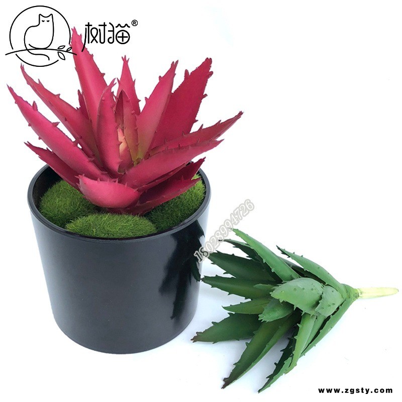 树猫仿真多肉植物小丽人芦荟植物墙景观装饰配材微景观diy盆景