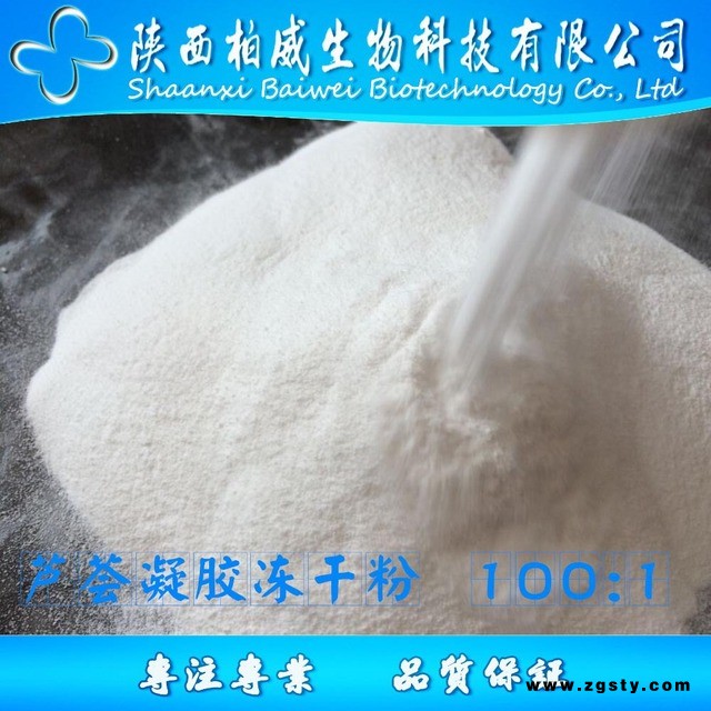 芦荟凝胶冻干粉 100:1 天然原料 芦荟冻干粉 水溶 工厂现货批发 柏威生物 源头工厂货源