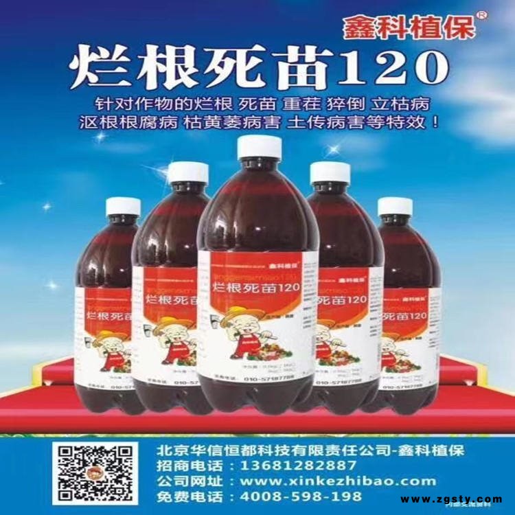 茄子的黄萎病防治   水养芦荟跟烂了怎办  野生兰直接长在土里为么烂根  石榴树烂根怎处理  芝麻青枯病用什药