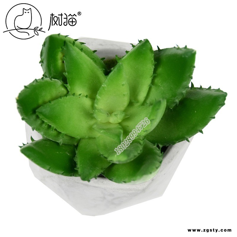 树猫新款仿真多肉植物8cm不ye城芦荟办公室茶几装饰绿植小盆栽