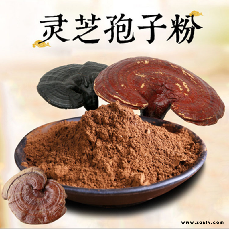 灵芝孢子粉 破壁灵芝孢子粉 灵芝提取物 浸膏粉 100目