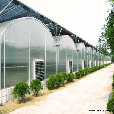 西安芦荟大棚建设 连栋薄膜蔬菜大棚 钢管架蔬菜大棚 旭航实地商家