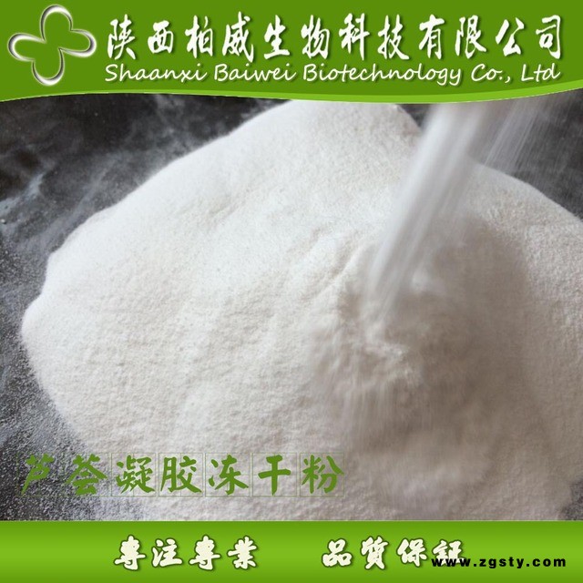 芦荟凝胶冻干粉 100:1 芦荟冻干粉 水溶天然原料 工厂现货批发价 柏威生物 植物提取物工厂