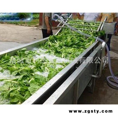 全自动蔬菜清洗机气泡清洗机水产类清洗机速冻产品解冻机芦荟清洗机气泡翻滚清洗机