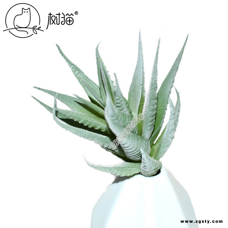 树猫仿真多肉植物迷你条纹芦荟塑胶花装饰盆景植物墙景观插花花卉