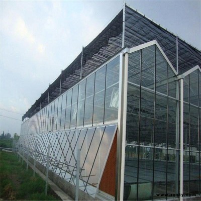 农业智能大棚的设计方案 芦荟种植大棚 金纳