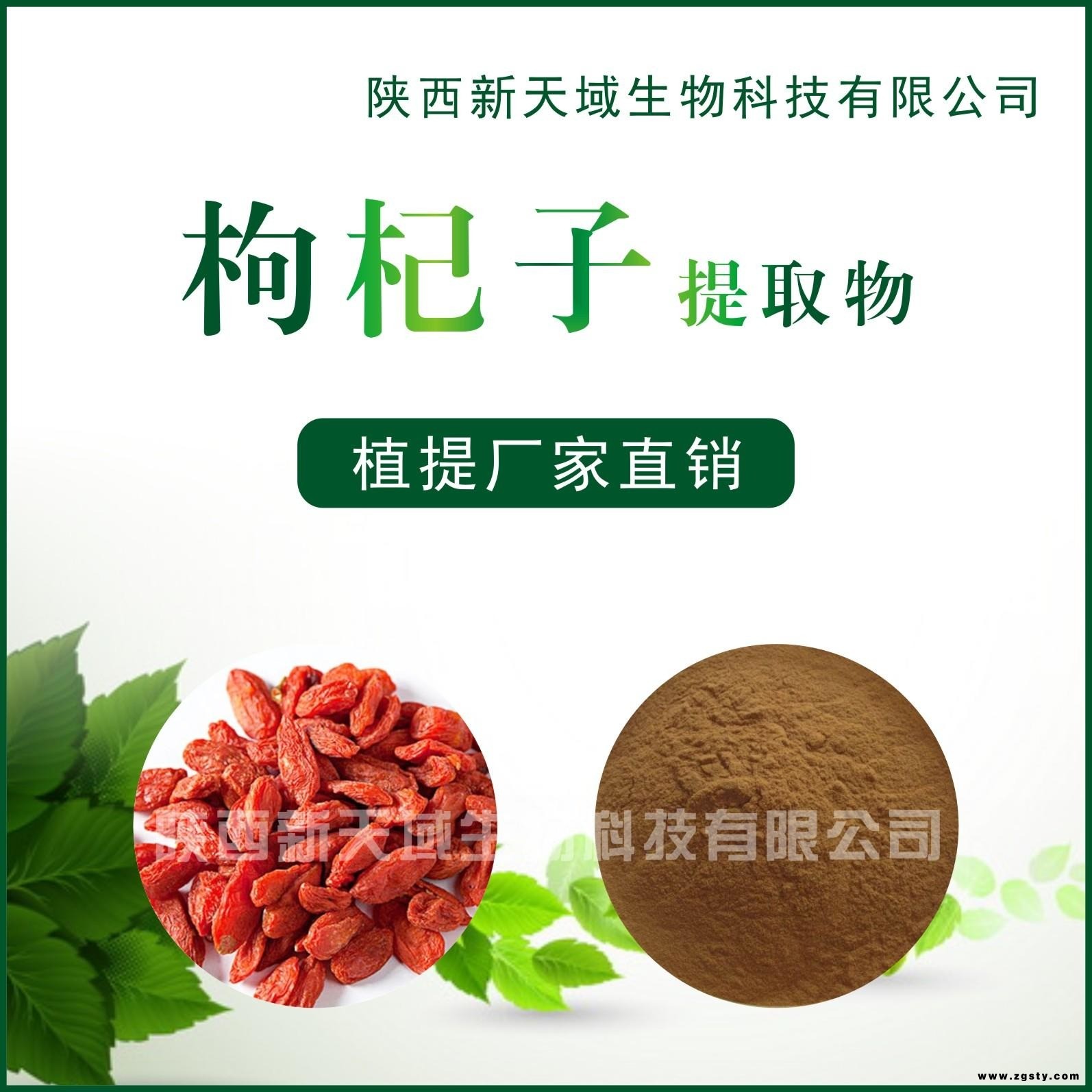 厂家现货供应枸杞提取物 枸杞粉 枸杞多糖 植物提取物 现货包邮